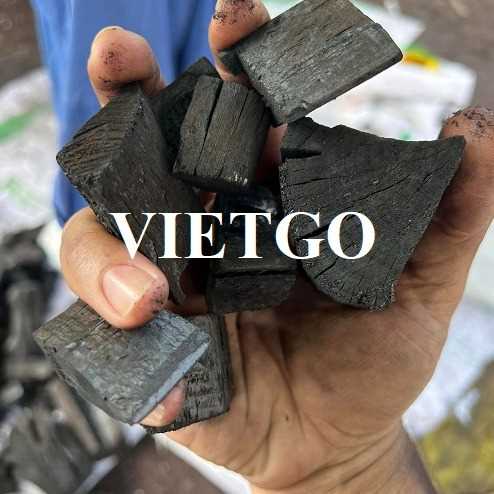 Cơ hội xuất khẩu than đen sang thị trường Thổ Nhĩ Kỳ