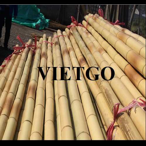 Cơ hội xuất khẩu gậy tre sang thị trường Bulgaria