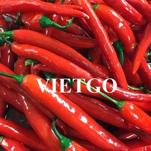 Thương vụ hợp tác xuất khẩu ớt đỏ tươi đến từ vị khách người Anh