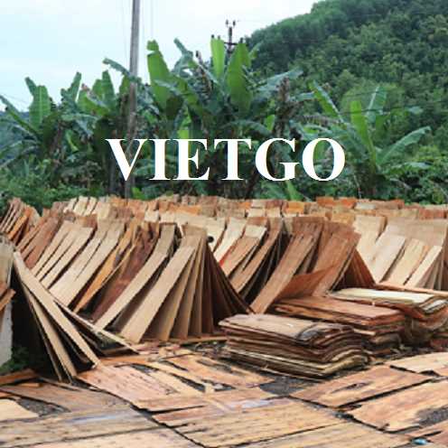 Thương vụ xuất khẩu ván bóc bạch đàn sang thị trường Ấn Độ