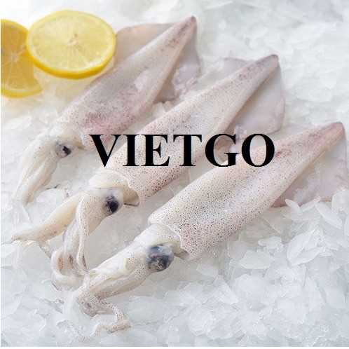 Cơ hội giao thương xuất khẩu mực ống sang thị trường Trung Quốc