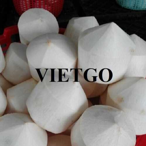 Cơ hội hợp tác xuất khẩu dừa tươi đến thị trường Bangladesh và UAE