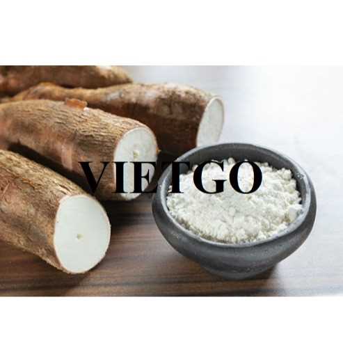 Cơ hội hợp tác xuất khẩu tinh bột sắn đầy hấp dẫn sang thị trường Trung Quốc
