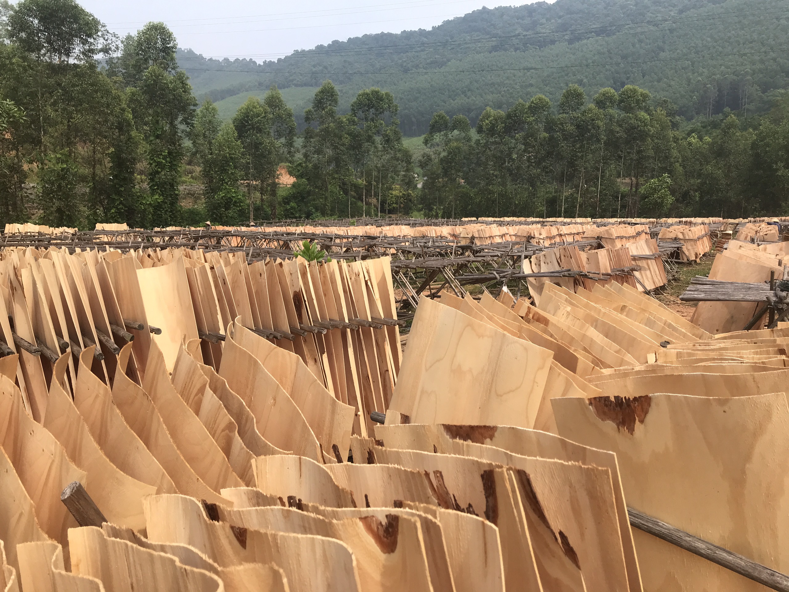 CÔNG TY TNHH THUẬN NHANH cần tìm nhà vận tải biển sang Ấn Độ