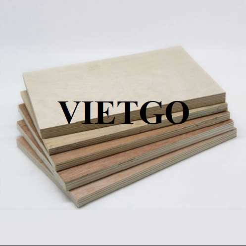 Thương vụ xuất khẩu gỗ dán sang thị trường Ấn Độ 