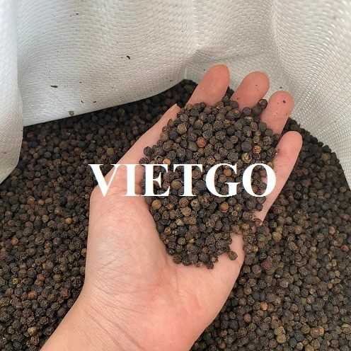 Cơ hội xuất khẩu hạt tiêu sang thị trường Nhật Bản