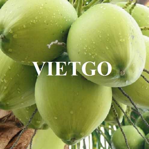 Cơ hội hợp tác xuất khẩu dừa tươi sang thị trường Bangladesh