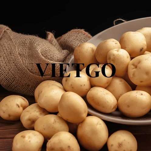 Cơ hội xuất khẩu khoai tây sang thị trường Mỹ