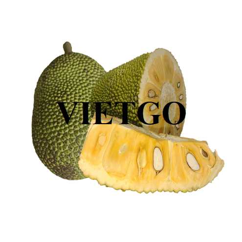 Thương vụ hợp tác xuất khẩu mít đến thị trường Trung Quốc