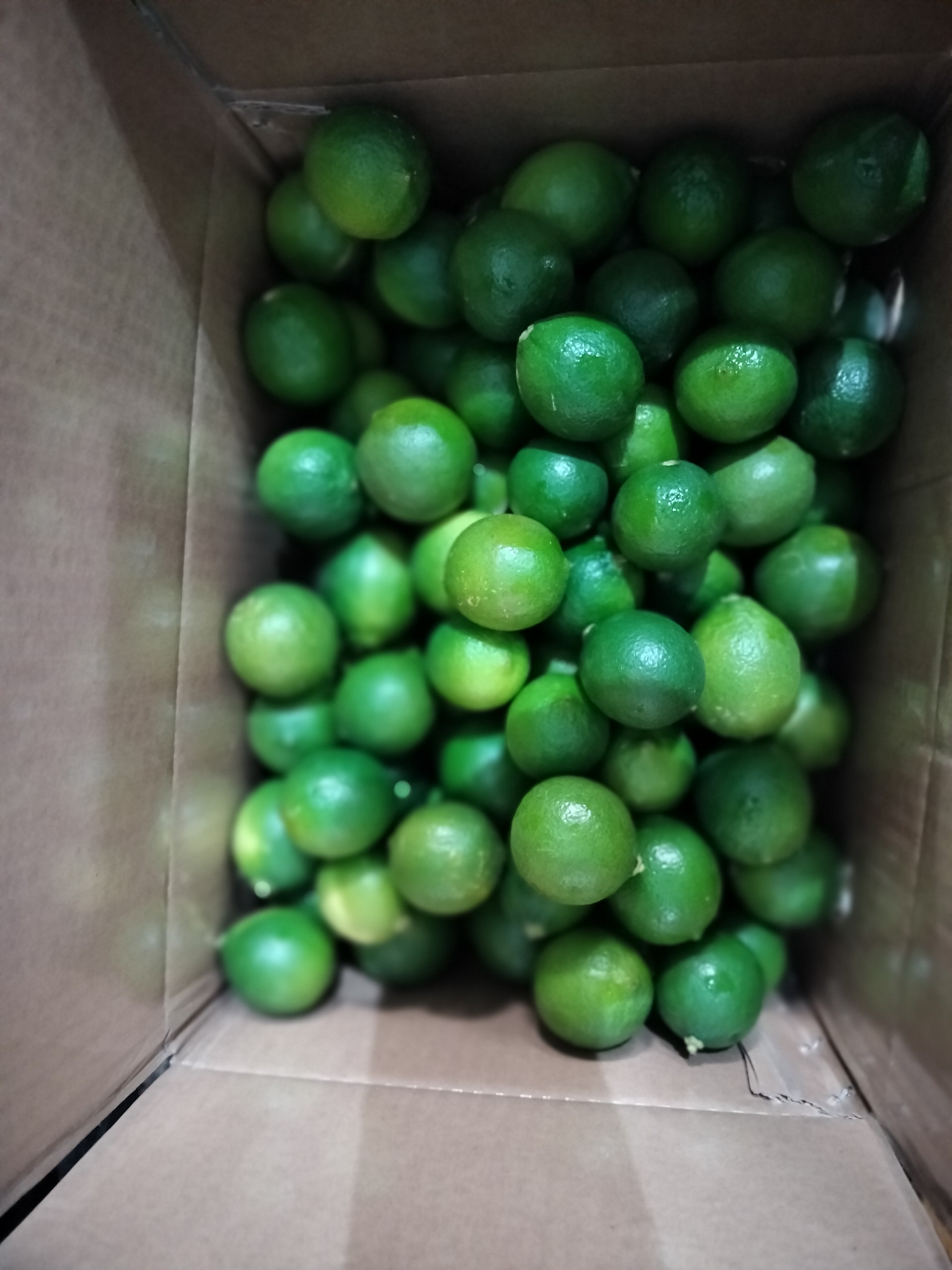 Công ty XNK Tân Tuyết Nhi cần tìm cước vận tải biển cho lô hàng chanh đi Mỹ