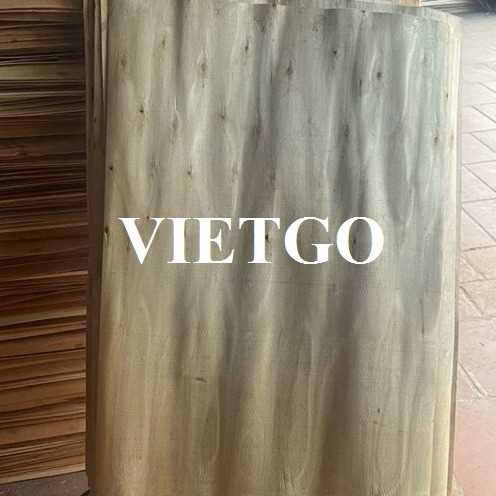 Thương vụ xuất khẩu ván bóc bạch đàn sang thị trường Ấn Độ 
