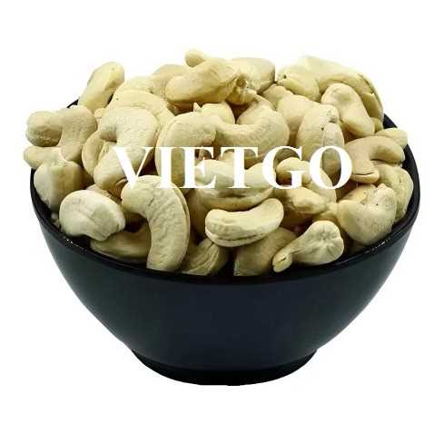 Cơ hội hợp tác xuất khẩu hạt điều đến thị trường Hà Lan