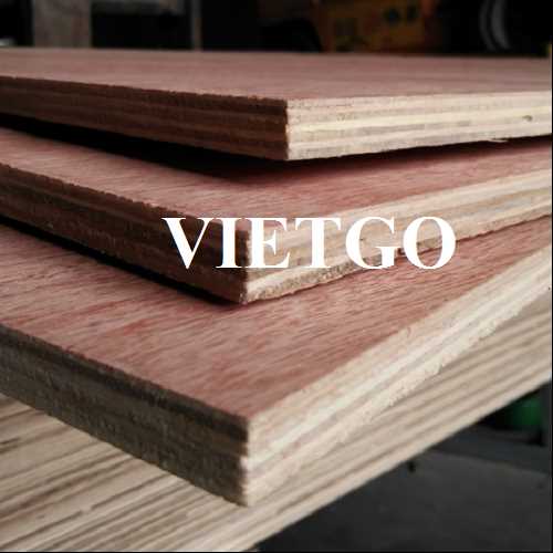 Thương vụ xuất khẩu gỗ dán sang thị trường Ấn Độ 