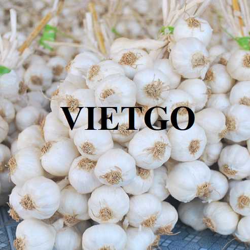 Cơ hội hợp tác xuất khẩu tỏi đến thị trường Bangladesh