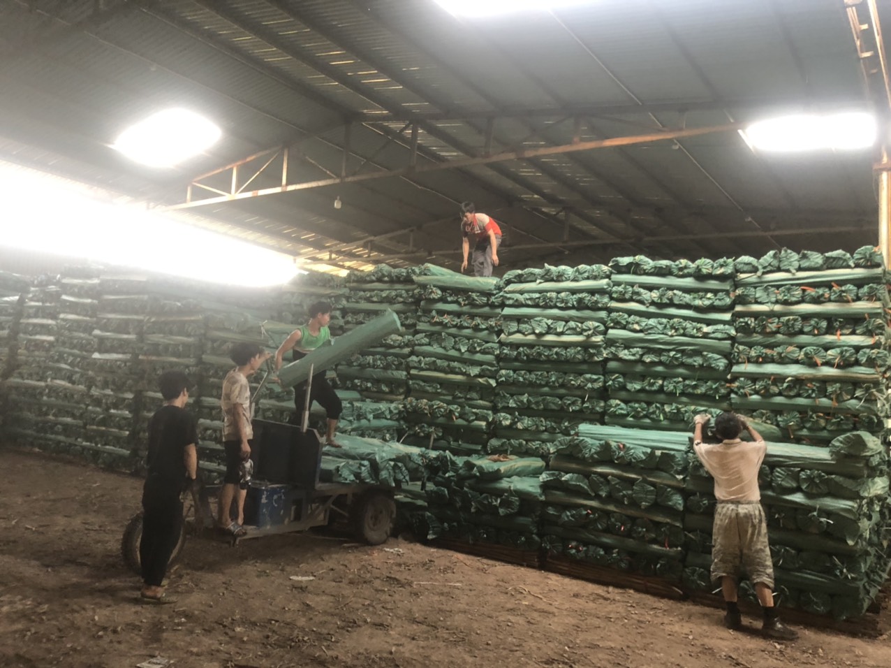 cần tìm cước biển mặt hàng cán chổi đi Ai Cập