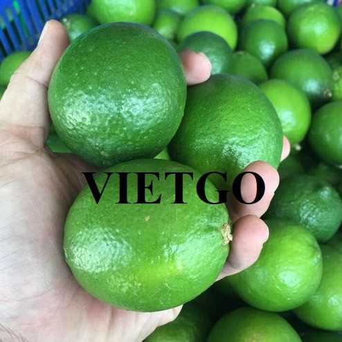 Cơ hội hợp tác xuất khẩu chanh đến thị trường UAE