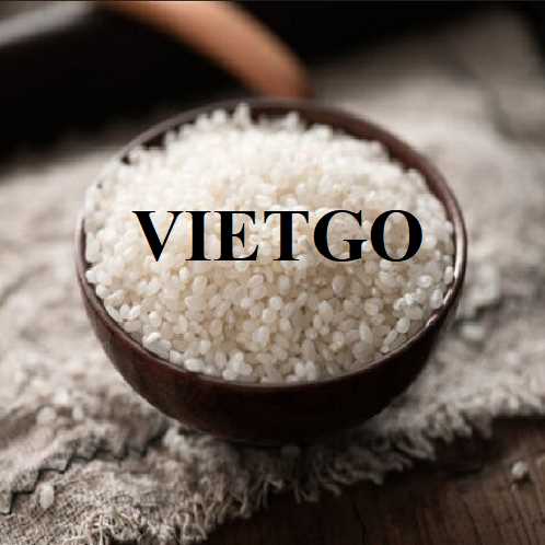 Thương vụ xuất khẩu gạo đầy hấp dẫn sang thị trường Trung Quốc