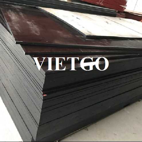 Thương vụ xuất khẩu gỗ dán phủ phim sang thị trường Ấn Độ 