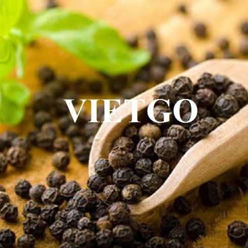 Thương vụ hợp tác xuất khẩu hạt tiêu cùng vị khách hàng đến từ Malaysia