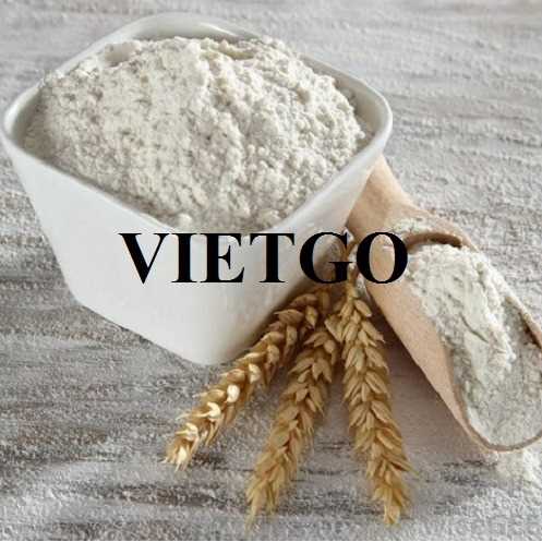 Cơ hội hợp tác xuất khẩu bột mì sang thị trường Ai Cập