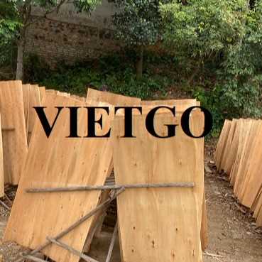Thương vụ xuất khẩu ván bóc sang thị trường Ấn Độ 