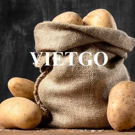 Cơ hội xuất khẩu khoai tây sang thị trường Ả Rập Xê Út
