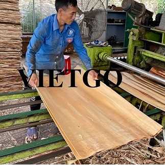 Thương vụ xuất khẩu ván bóc sang thị trường Ấn Độ