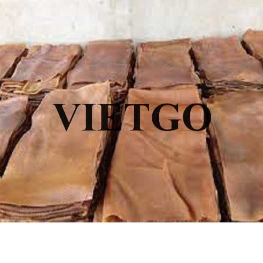 Thương vụ xuất khẩu mủ cao su đến thị trường Ấn Độ
