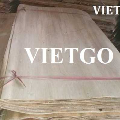 Thương vụ xuất khẩu ván bóc cao su sang thị trường Ấn Độ