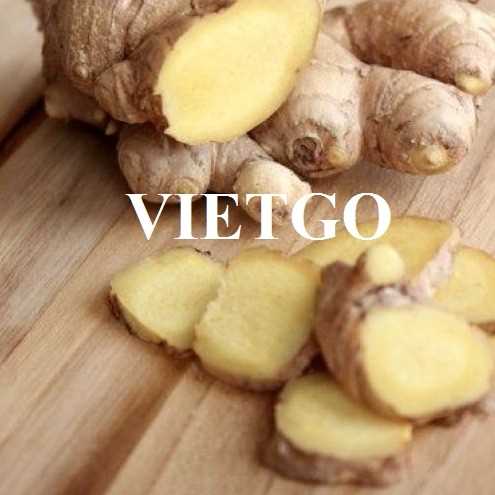 Thương vụ xuất khẩu gừng tươi đầy hấp dẫn cùng vị khách hàng người Indonesia