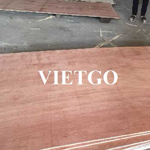 Thương vụ xuất khẩu gỗ dán sang thị trường Ấn Độ 