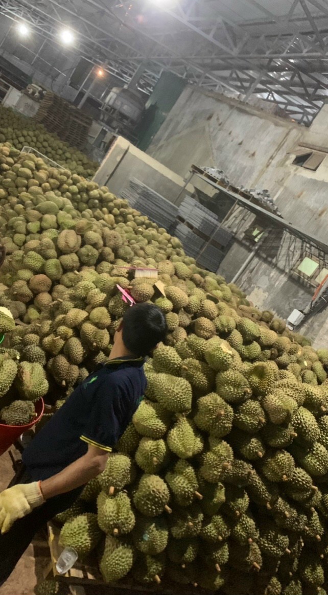 Công ty Phương Nam cần tìm FWD đi đường hàng không báo giá hàng nông sản đi UAE