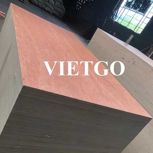 (Cập nhật thông tin đơn hàng) Thương vụ xuất khẩu gỗ dán bao bì sang thị trường Ấn Độ 