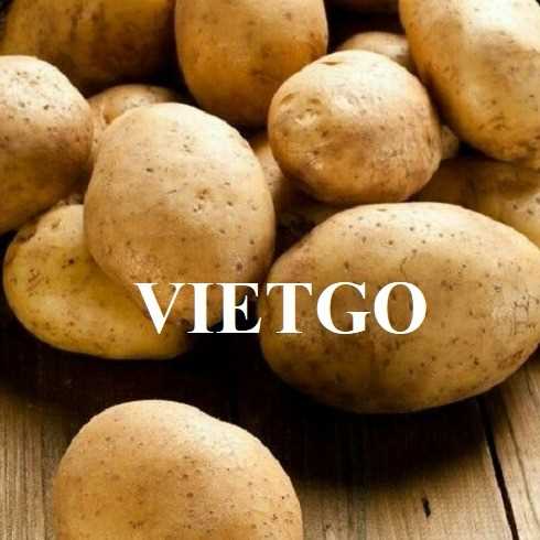 Cơ hội hợp tác xuất khẩu khoai tây sang thị trường UAE