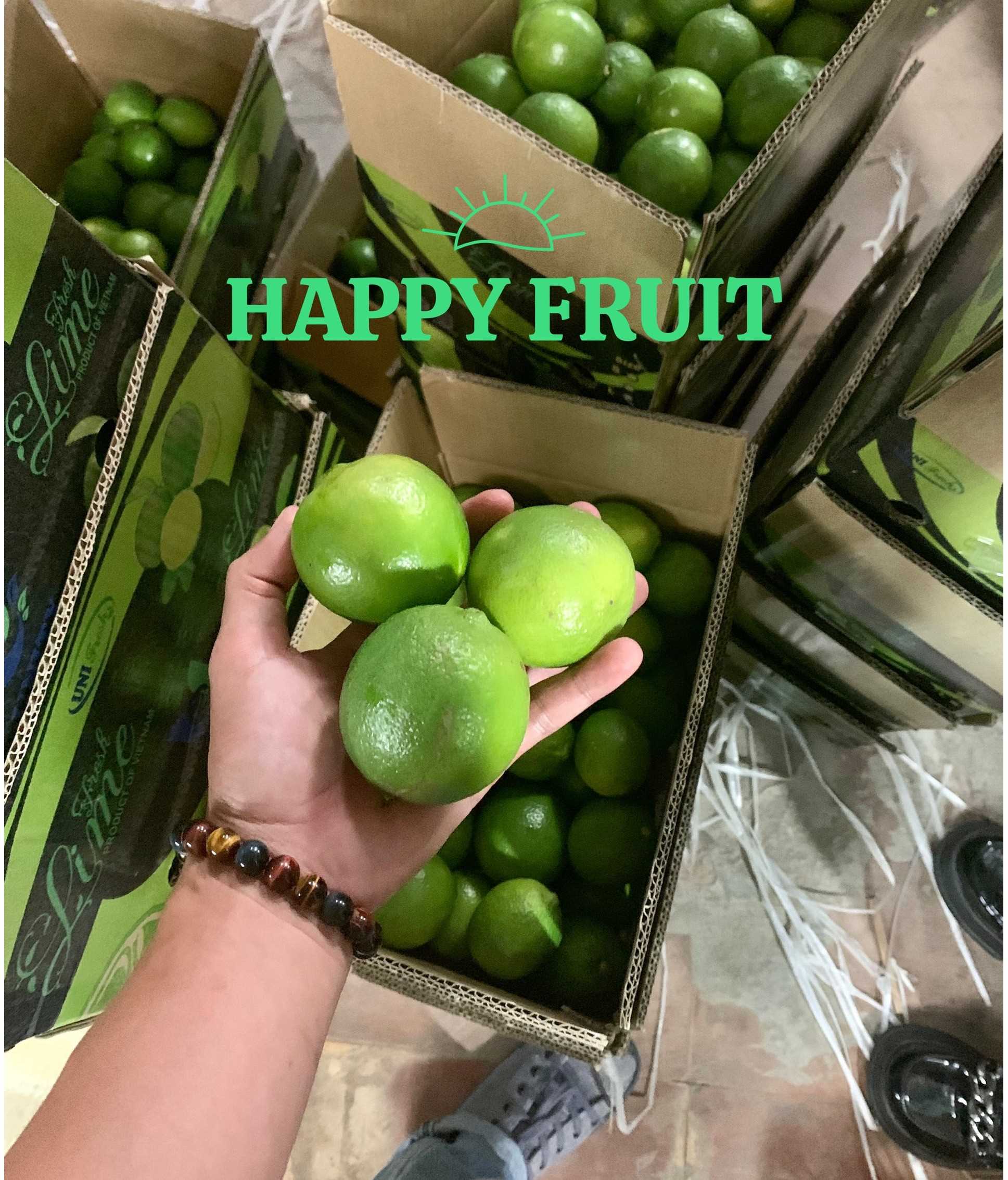 CÔNG TY TNHH THƯƠNG MẠI DỊCH VỤ XUẤT NHẬP KHẨU HAPPY FRUIT cần tìm nhà vận tải biển đến cảng JABEL ALI, Ả RẬP