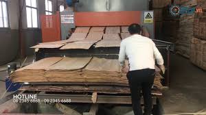 Công ty TNHH xnk Ocean Aura cần tìm đơn vị FWD chuyên tuyến Hải Phòng - Mundra sản phẩm Ván bóc, Gỗ dán, Viên nén