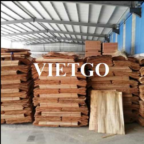 Thương vụ xuất khẩu ván bóc bạch đàn sang thị trường Ấn Độ 
