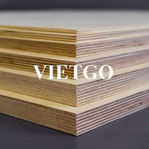 Thương vụ xuất khẩu sản phẩm gỗ dán đến thị trường Ấn Độ