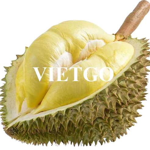 Cơ hội hợp tác xuất khẩu sầu riêng sang thị trường Trung Quốc