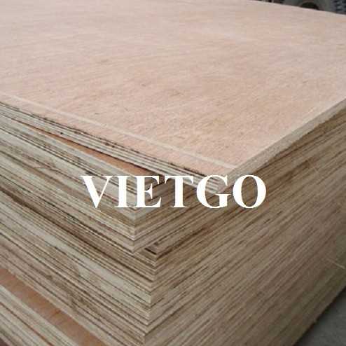 Thương vụ xuất khẩu gỗ dán đến thị trường Ấn Độ