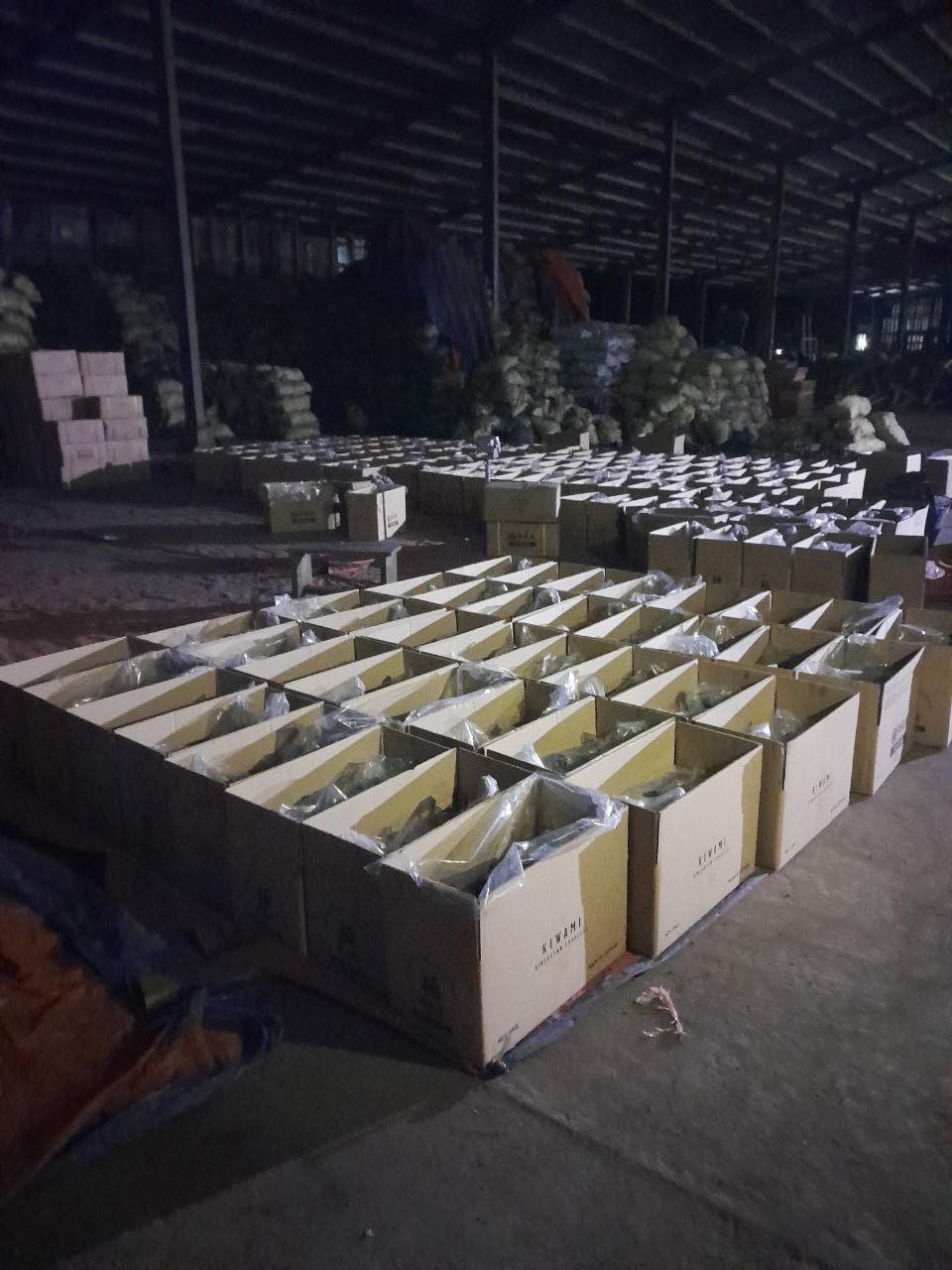 Công Ty TNHH RABBON cần tìm cước biển cho mặt hàng than sang Hàn Quốc