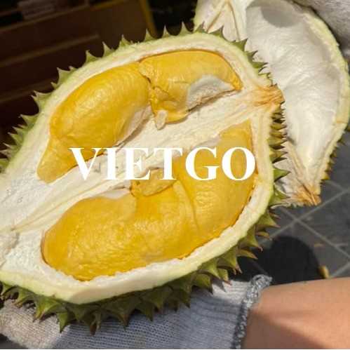 Cơ hội hợp tác xuất khẩu sầu riêng sang thị trường Trung Quốc