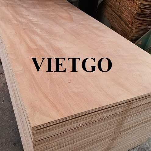 Thương vụ xuất khẩu gỗ dán sang thị trường Ấn Độ