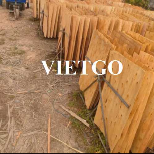 Thương vụ xuất khẩu ván bóc bạch đàn sang thị trường Ấn Độ 