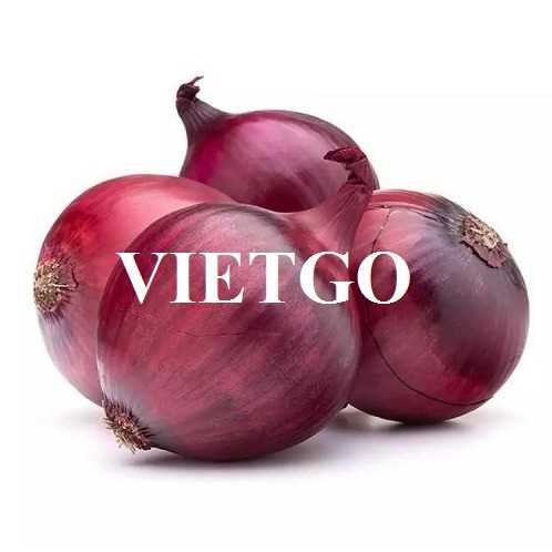 Cơ hội hợp tác xuất khẩu hành tím sang thị trường Ấn Độ