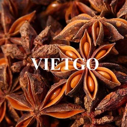 Cơ hội xuất khẩu hoa hồi đến thị trường Ấn Độ