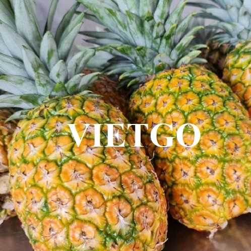 Cơ hội xuất khẩu dứa sang thị trường Tây Ban Nha