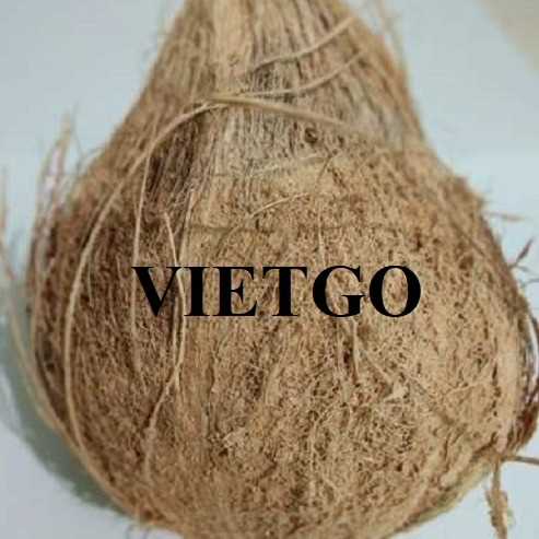 Cơ hội hợp tác xuất khẩu dừa đến thị trường UAE