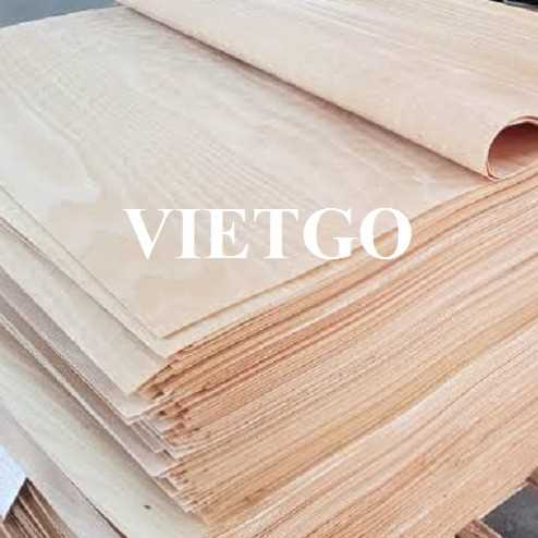 Thương vụ xuất khẩu ván bóc sang thị trường Ấn Độ