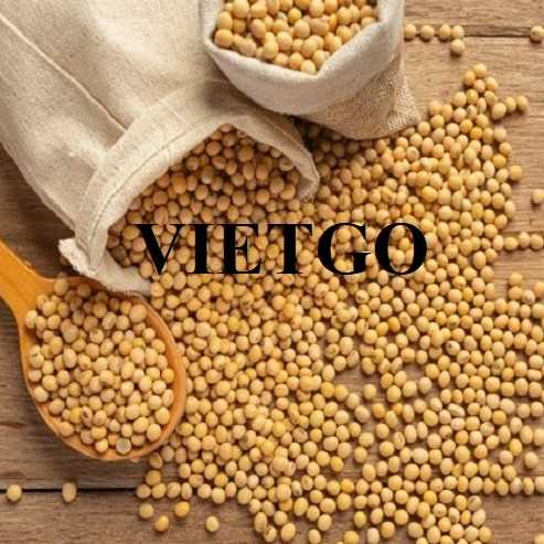 Cơ hội hợp tác xuất khẩu sản phẩm hạt đậu nành đến từ vị khách hàng người Anh Quốc